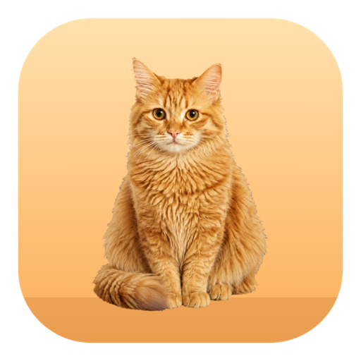 MeowUp icon